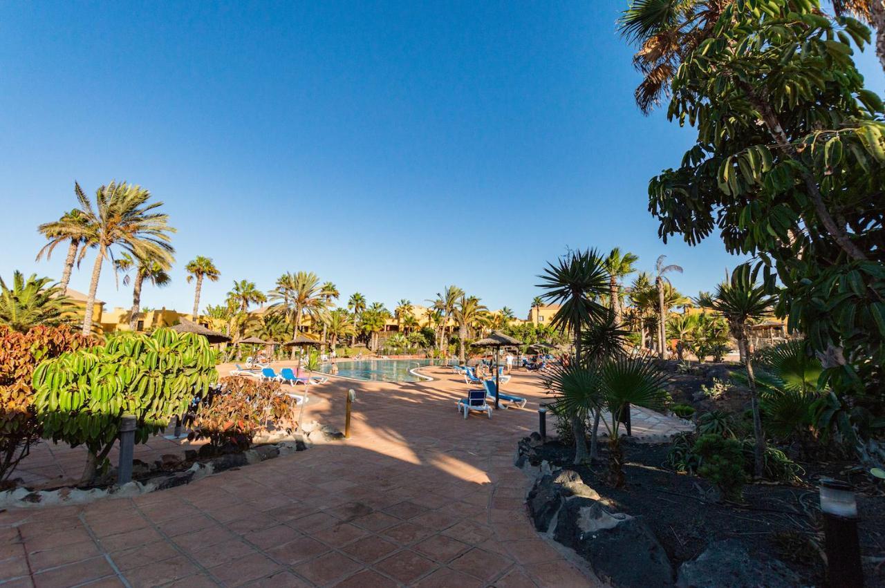La Vista Bonita Apartment Corralejo Bagian luar foto
